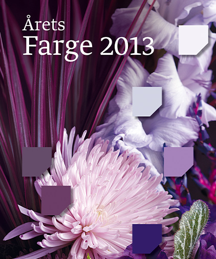 Fargekart årets farge 2013