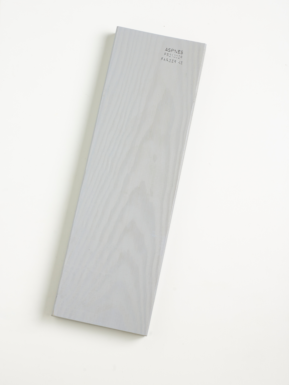 FR210029 Aspnes.jpg