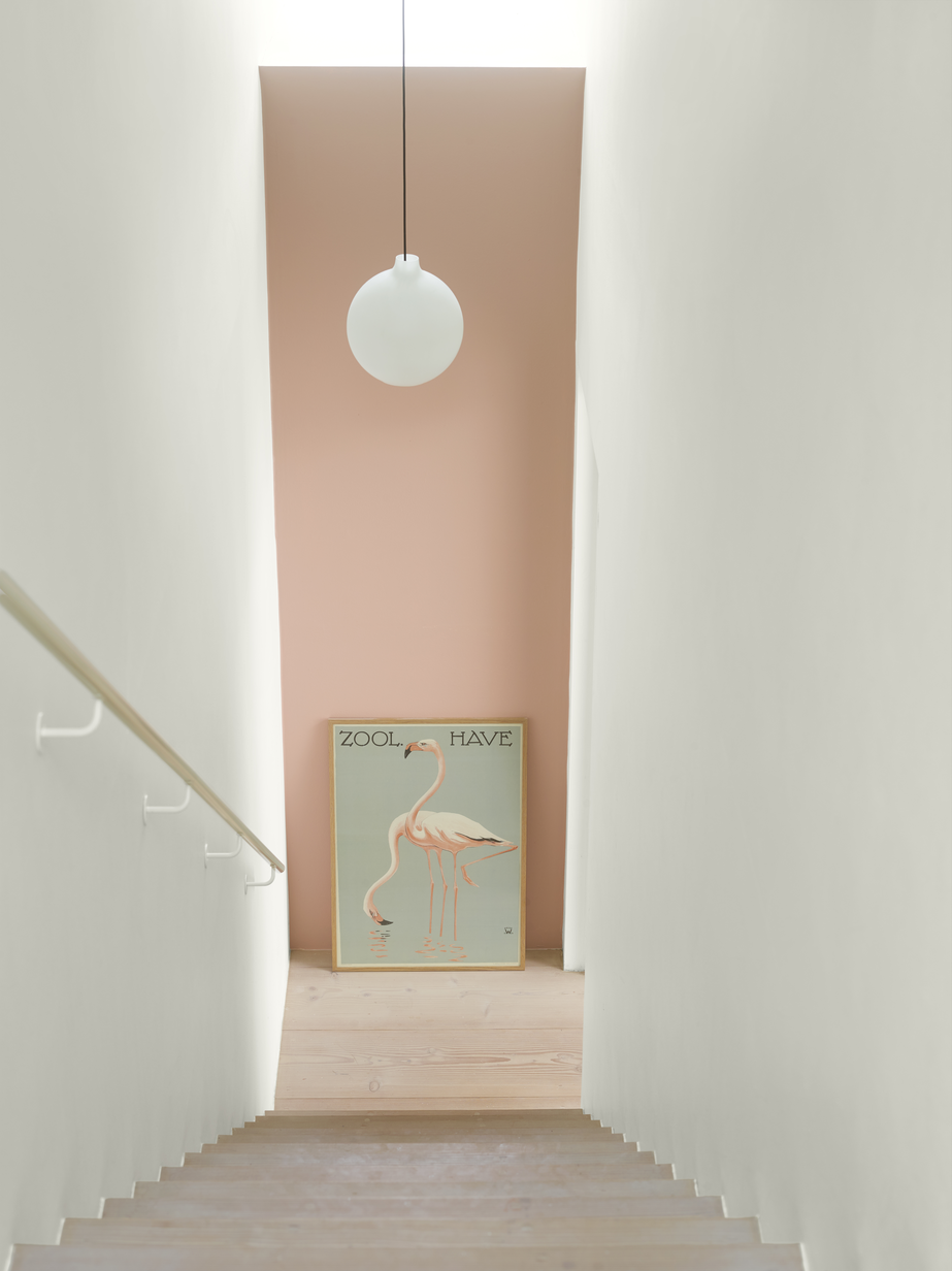 LADY_Pure_Color_2992_Delightful_Pink_og_1624_Letthet (1).jpg