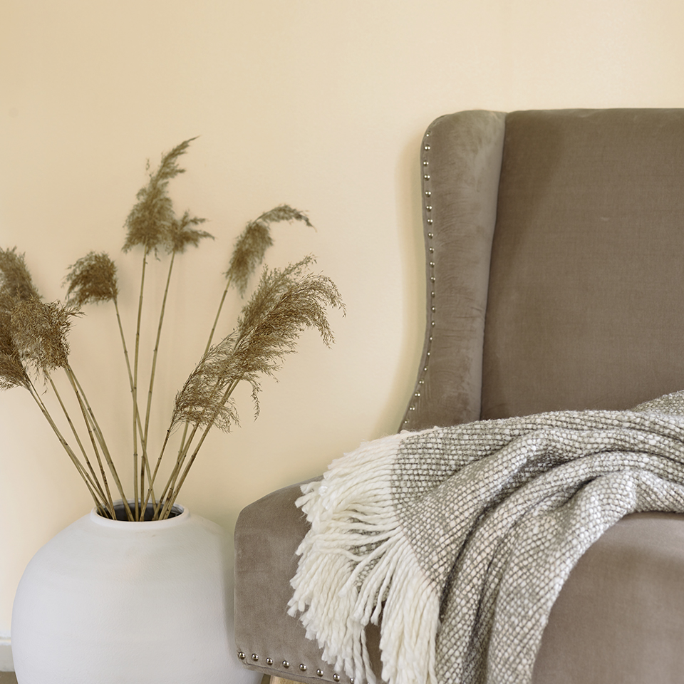 Soft FR2015 960.jpg