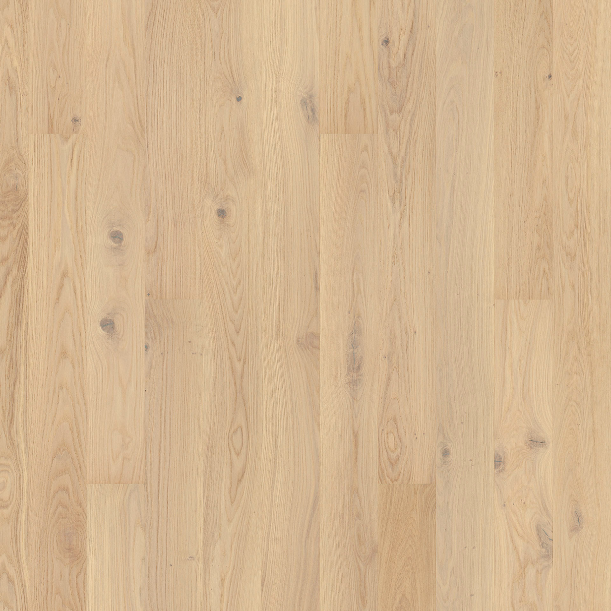 Tarkett Grace White Canvas Oak Parkett