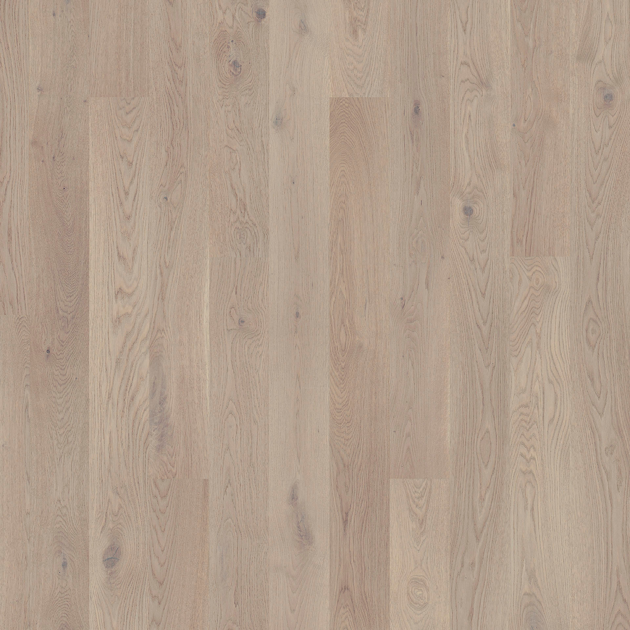 Tarkett Grace Grey Chiffon Oak Parkett