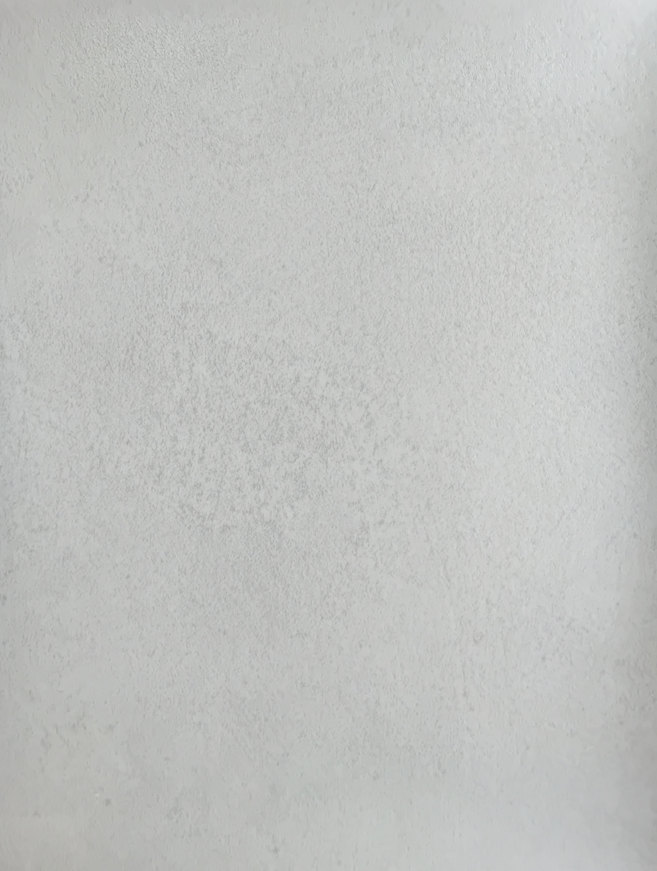 Inhouse Aqualine Beton Cire 096L Våtromsbelegg