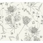 Storeys Drawn Into Nature 394272