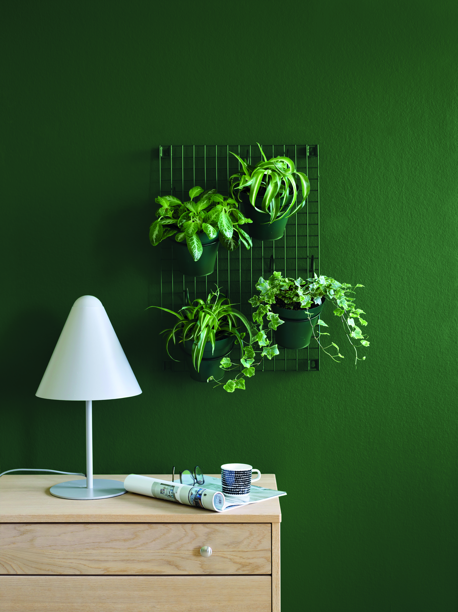FIOLINFIKEN FR2596_veggplanter lampe L.jpg
