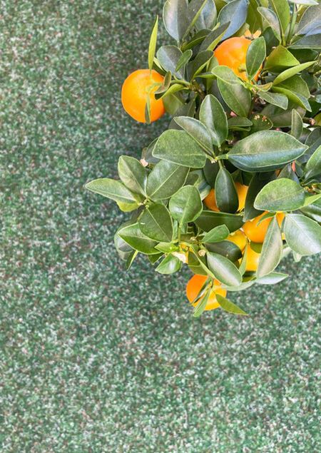 Inhouse Group Gressteppe New Meadow Mosegrønn - 4m