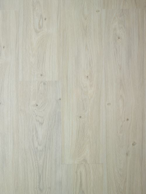 Aspecta Isocore Promo Elegant Klikkvinyl