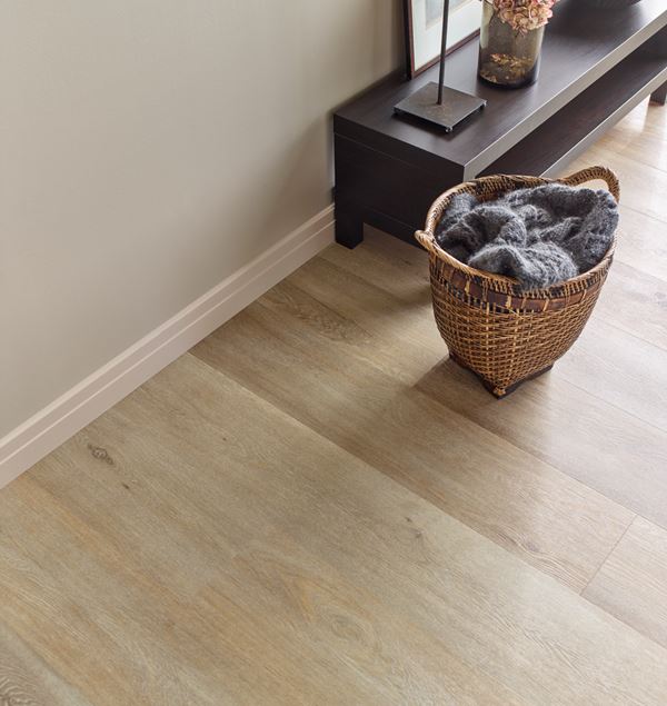 Aspecta Isocore XL Geneva Eik Klikkvinyl