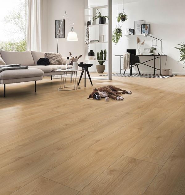 Moskus XL Lun Eik Laminatgulv