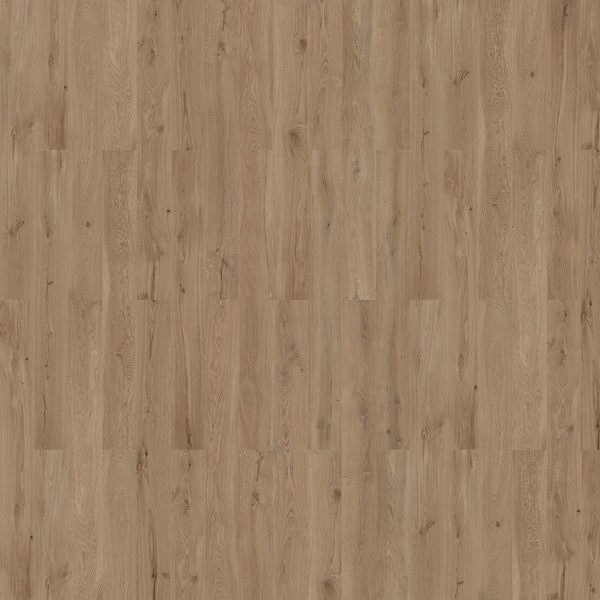 Wicanders Kork Natural Dakota Oak Korkgulv