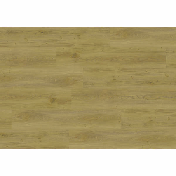 Aspecta Rigid Essentials Earl Klikkvinyl