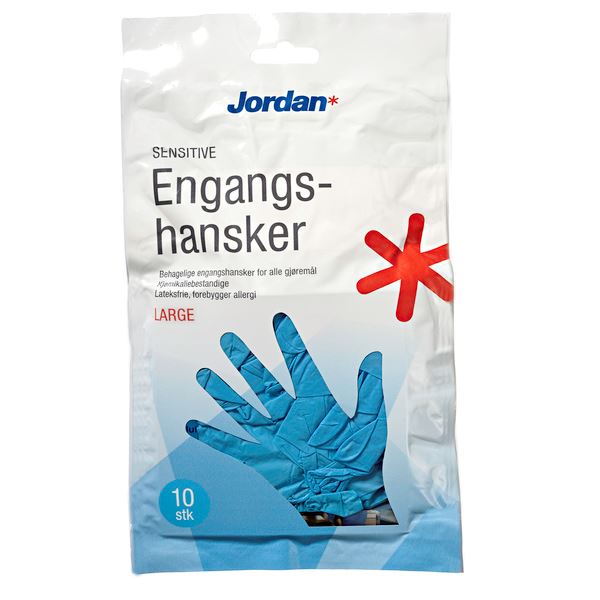 Jordan Engangshanske L / XL 1394